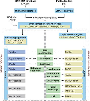 Analysis of Transcriptome and Epitranscriptome in Plants Using PacBio Iso-Seq and Nanopore-Based Direct RNA Sequencing